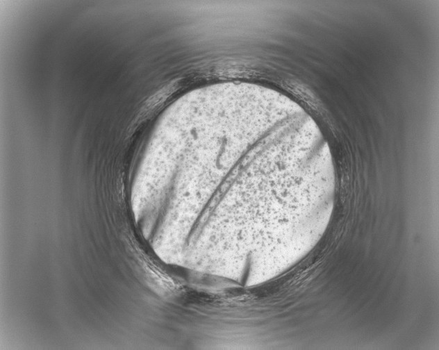 X0000059800401200511181520