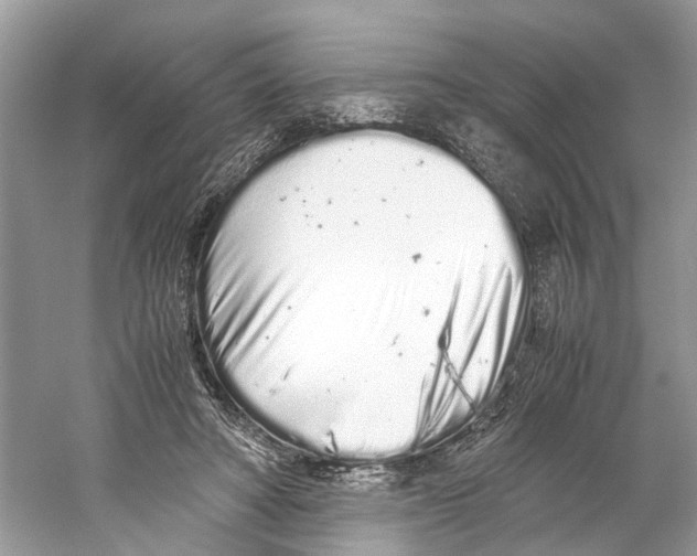 X0000059800402200511181520