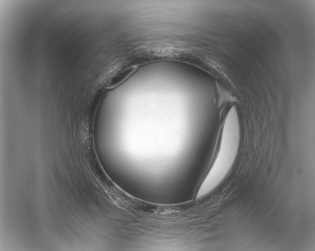 X0000059800407200511181520