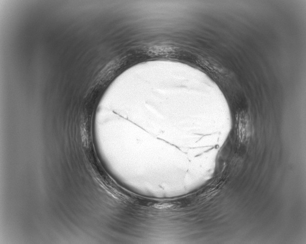 X0000059800408200511181520