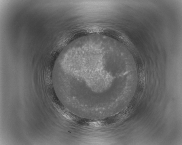 X0000059800411200511181520