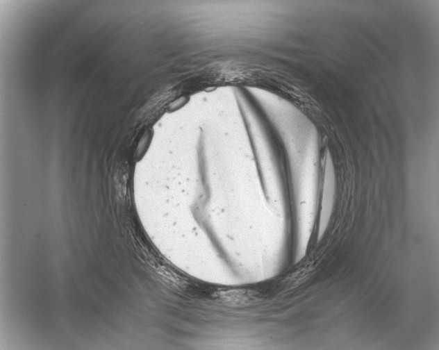 X0000059800417200511181519