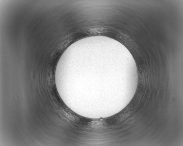 X0000059800418200511181519