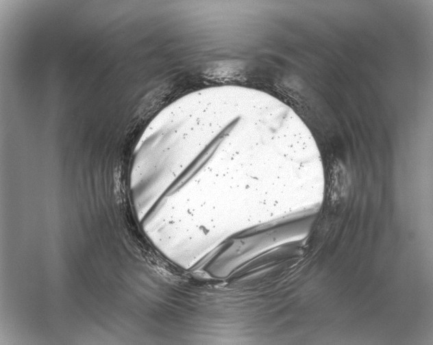 X0000059800420200511181519