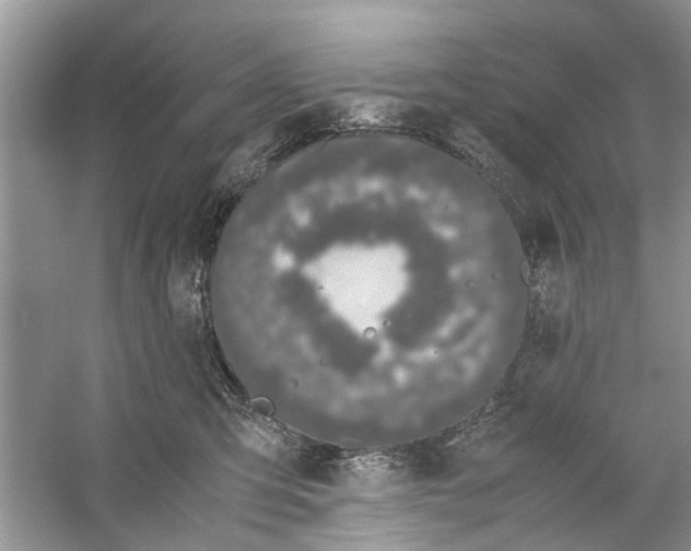 X0000059800423200511181519