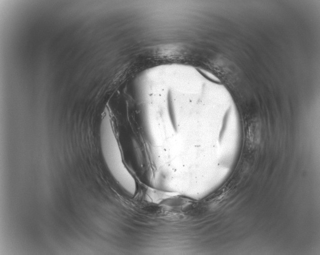 X0000059800424200511181519