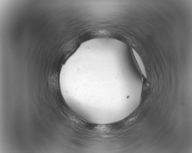 X0000059800425200511181519