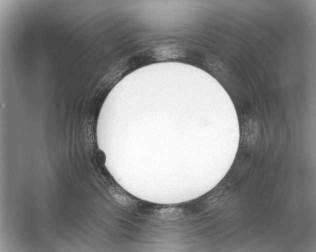 X0000059800426200511181519