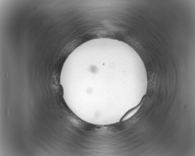 X0000059800430200511181519