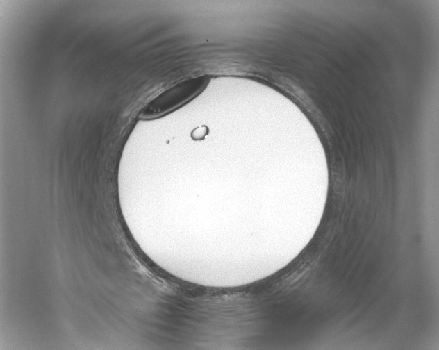 X0000059800433200511181518