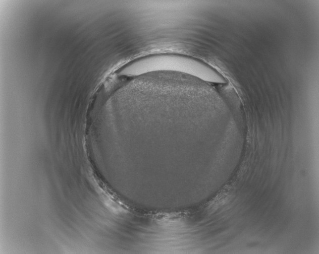 X0000059800434200511181518