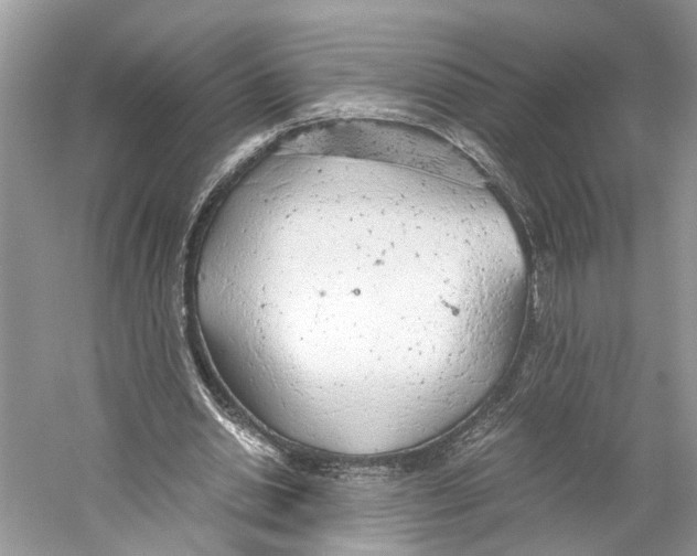 X0000059800438200511181518