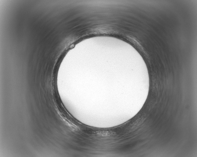 X0000059800439200511181518