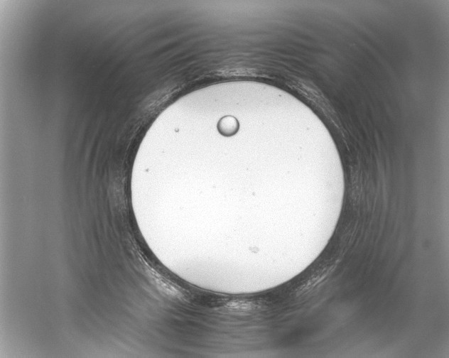 X0000059800441200511181519