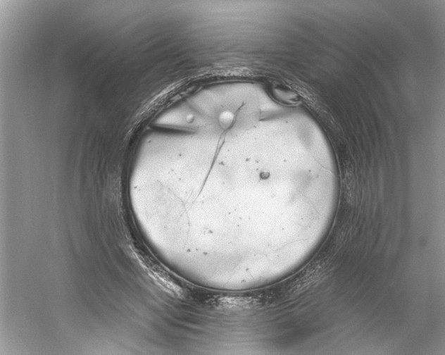 X0000059800442200511181519