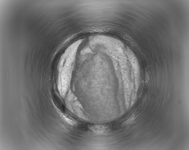 X0000059800444200511181519