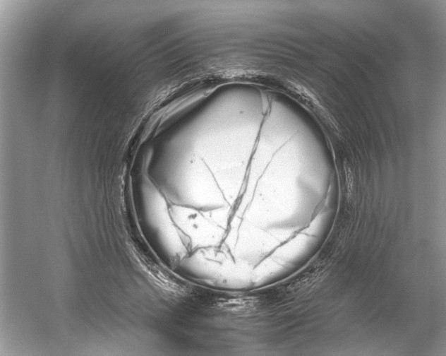 X0000059800447200511181519