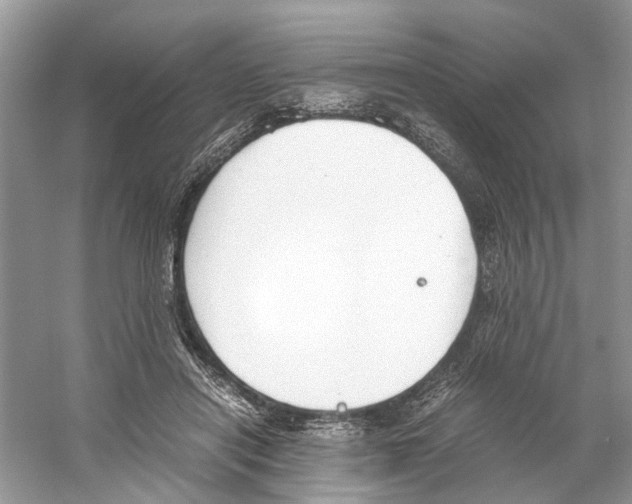 X0000059800454200511181519