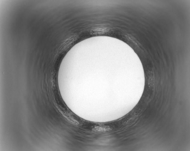 X0000059800455200511181519