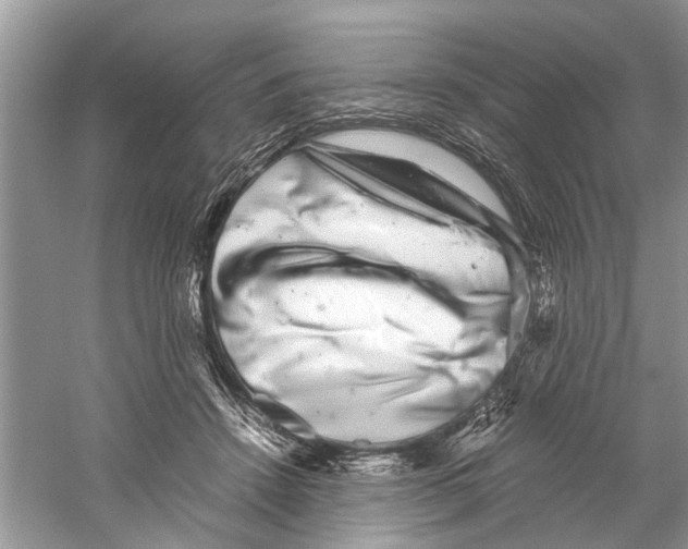 X0000059800456200511181519