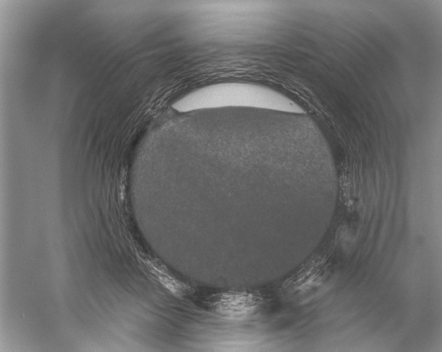 X0000059800458200511181519