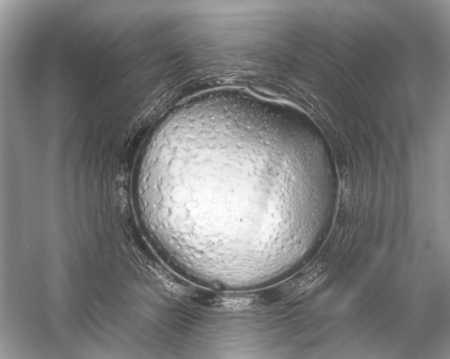 X0000059800462200511181519