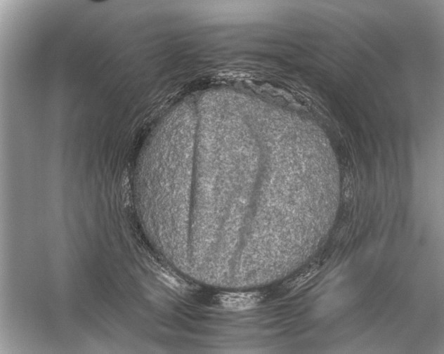 X0000059800465200511181519