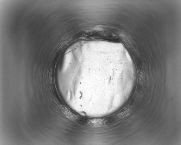 X0000059800466200511181519