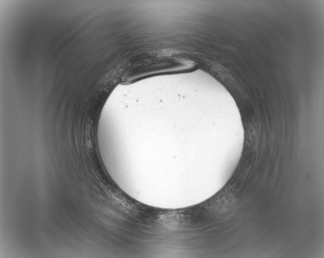 X0000059800470200511181519