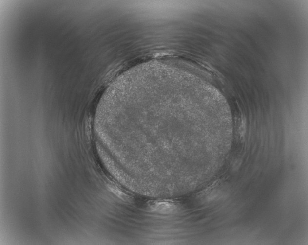 X0000059800475200511181519