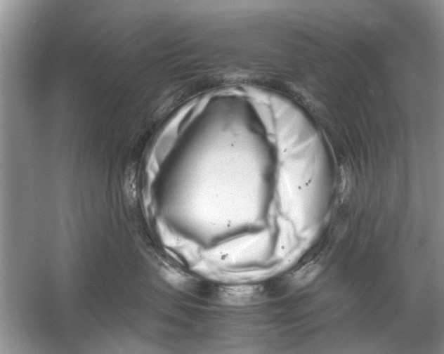 X0000059800479200511181519