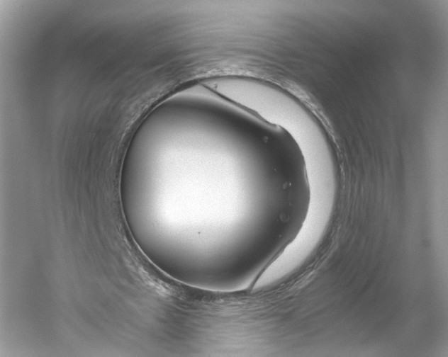 X0000059800481200511181518