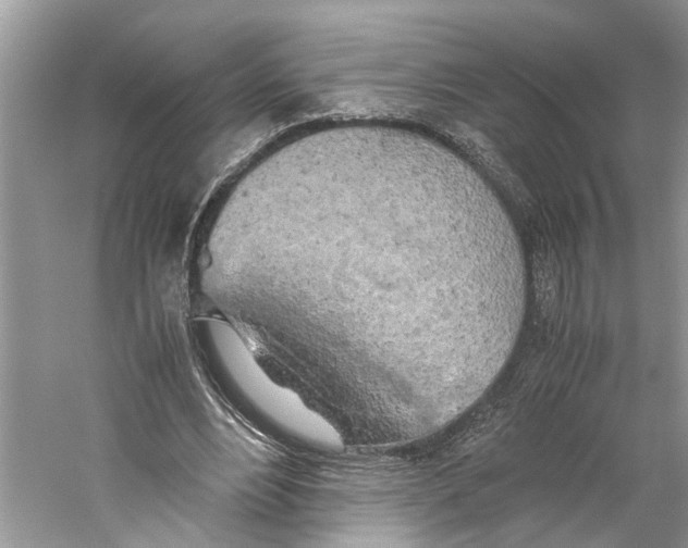 X0000059800488200511181518