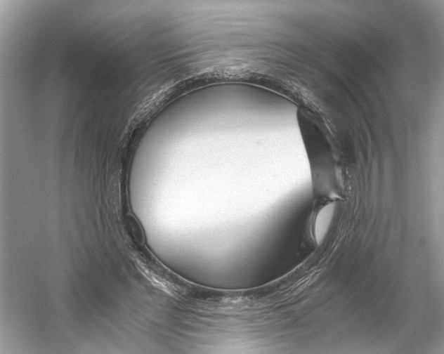 X0000059800493200511181518