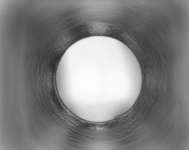 X0000059800498200511181518