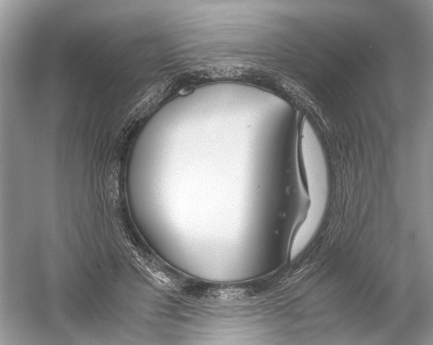 X0000059800501200511181518