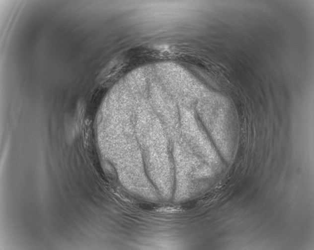 X0000059800511200511181518