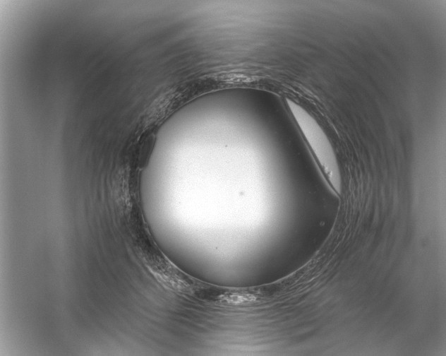 X0000059800512200511181518