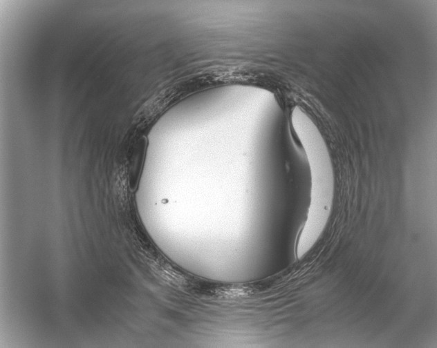 X0000059800513200511181518