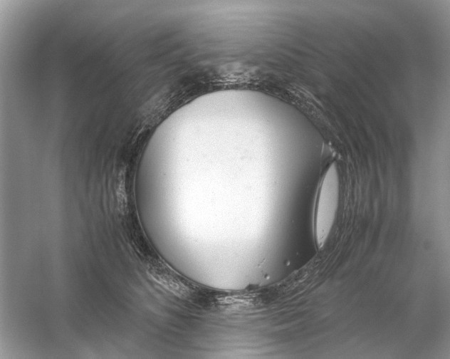 X0000059800516200511181518