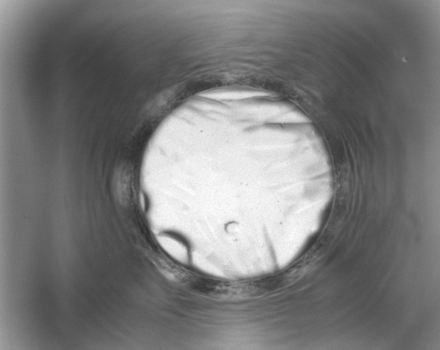 X0000059800527200511181518