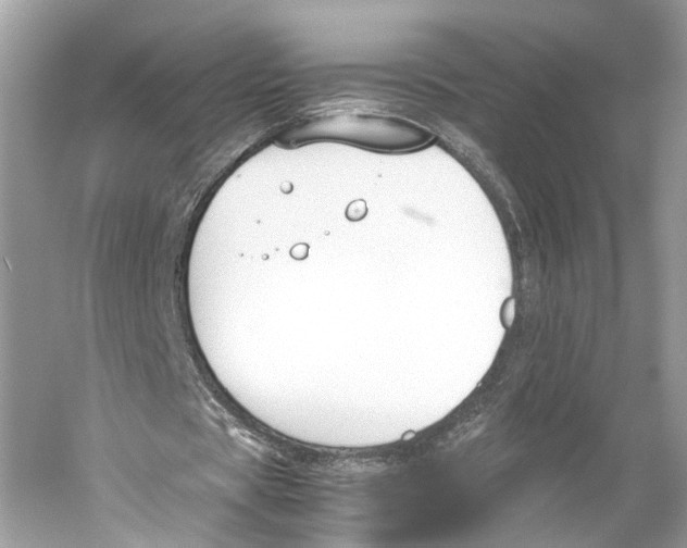 X0000059800529200511181517