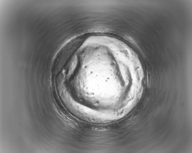 X0000059800531200511181517