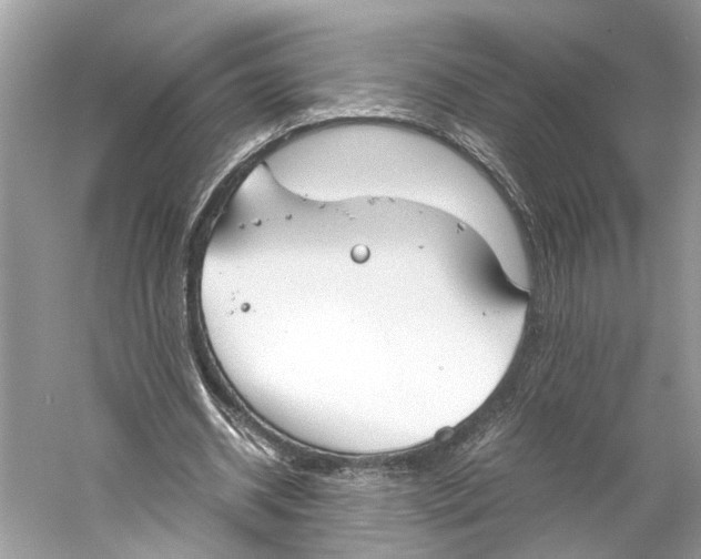 X0000059800534200511181517