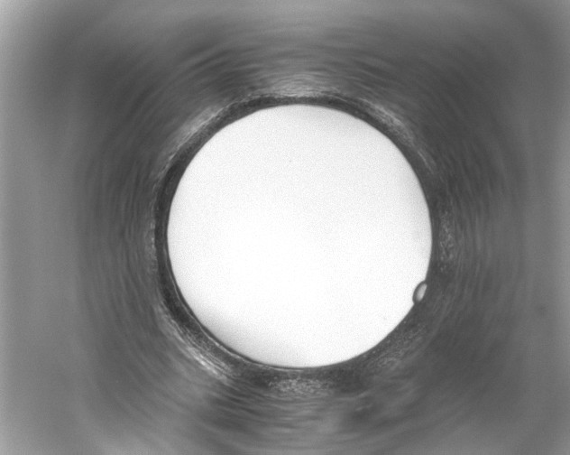 X0000059800535200511181517