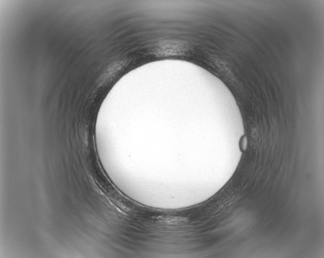 X0000059800539200511181517