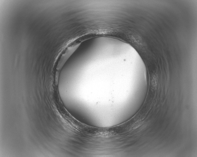 X0000059800540200511181517