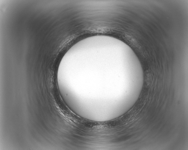 X0000059800544200511181517