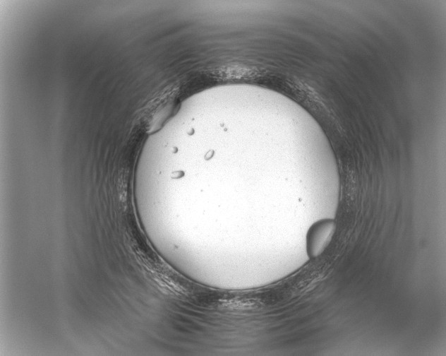 X0000059800545200511181517