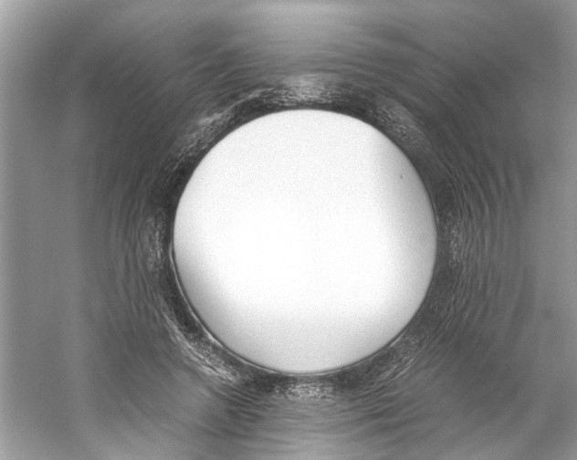 X0000059800546200511181517